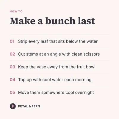 Sample how-to post for Petal & Fern: Make a bunch last, in five steps.